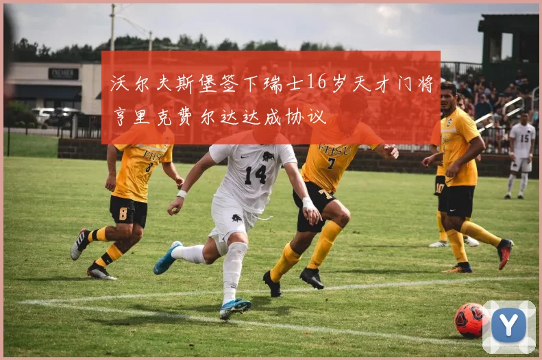 沃尔夫斯堡签下瑞士16岁天才门将亨里克费尔达达成协议