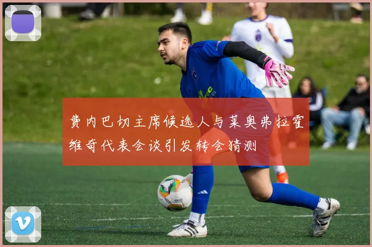 费内巴切主席候选人与莱奥弗拉霍维奇代表会谈引发转会猜测